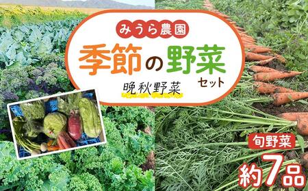 【先行予約】みうら農園 季節の野菜セット おまかせ7品（晩秋野菜）【10月上旬以降より順次発送】