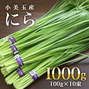 【ふるさと納税】小美玉市産にら 100g×10束 茨城 国産 ニラ 生 香味野菜 料理 惣菜 おかず 1kg 17-AA (5月～11月発送予定)