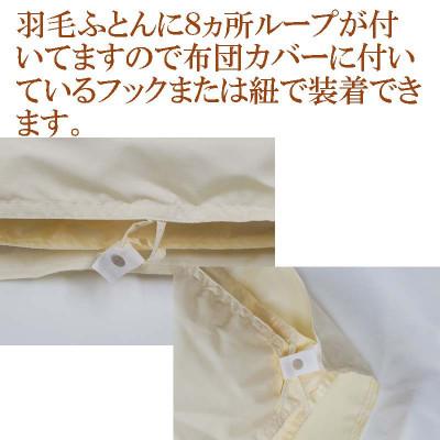 ふるさと納税 都留市 羽毛合い掛け 肌布団セミダブル2枚組ポーランド産マザーグース95%170×210cmdp470 |  | 03