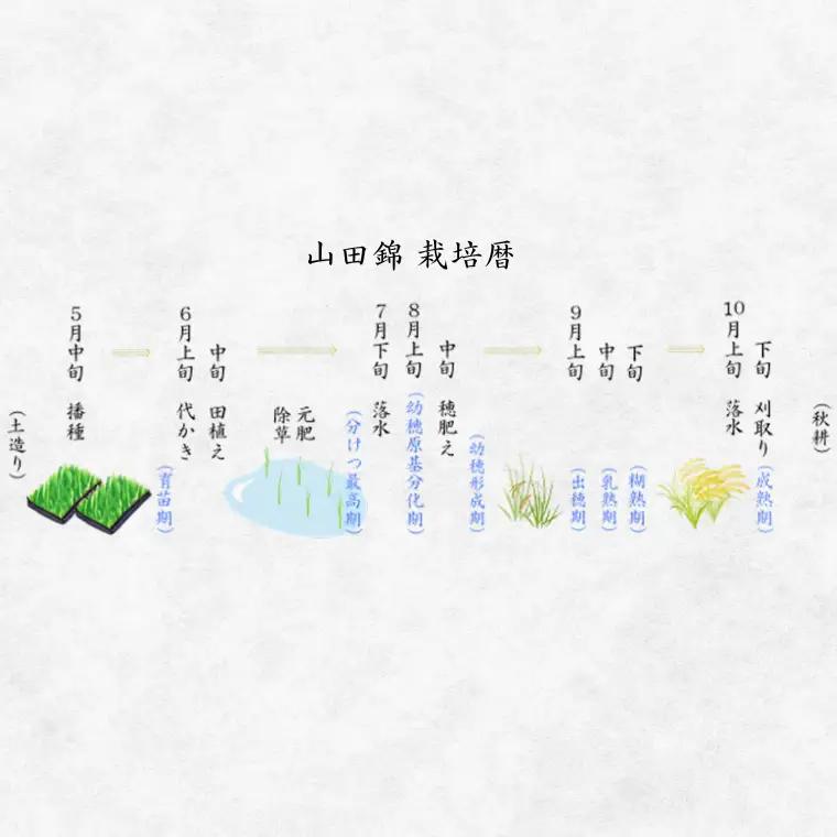 純米大吟醸　加須の舞　スパークリング　日本酒　お酒