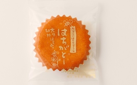 《お父さんのはちみつマドレーヌ》はちがとー　10個入　焼き菓子　スイーツ　ギフト　贈答　