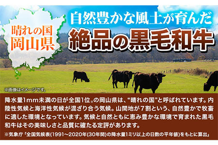 【6ヶ月定期便】牛肉 肉 黒毛和牛 切り落とし 訳あり 大容量 小分け 2kg 1パック 250g 定期便《お申込み月翌月から出荷開始》岡山県産 岡山県 笠岡市 お肉 にく カレー 牛丼 切り落し 切