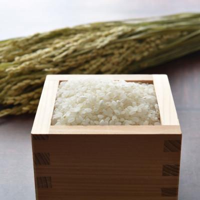 ふるさと納税 旭川市 【特Aランク】令和7年北海道産ゆめぴりか・ななつぼし食べ比べ 精米計10kg(各5kg)_04809 |  | 01