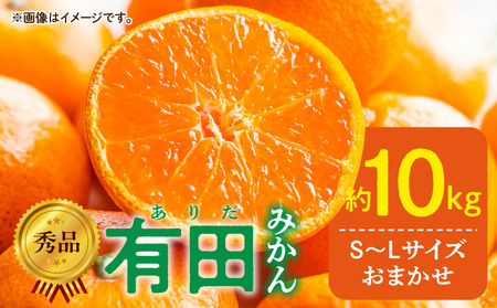 DZ6200_秀品 有田みかん 和歌山県産 S～Lサイズ 大きさお任せ 約10kg 2025年11月発送