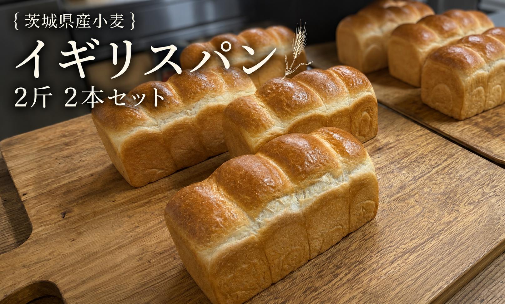 
                  【 3ヶ月 定期便 】茨城県産 小麦の イギリスパン 2斤 2本 セット 食パン パン 小麦 冷凍 プレゼント ギフト 
                
