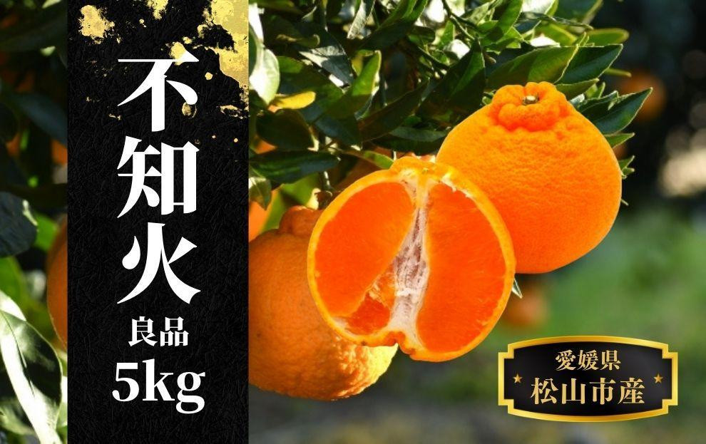 
                  【不知火】良品 約 5kg　＜2027年3月中旬頃～2027年4月頭頃順次発送＞愛媛 松山 みかん 先行予約 蜜柑 柑橘 果物 くだもの フルーツ お取り寄せ グルメ 期間限定 数量限定 人気 おすすめ 愛媛県 松山市
                