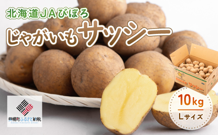 じゃがいも「サッシー」Lサイズ・10kg じゃがいも イモ いも サッシー 北海道 美幌町 送料無料 BHRG035