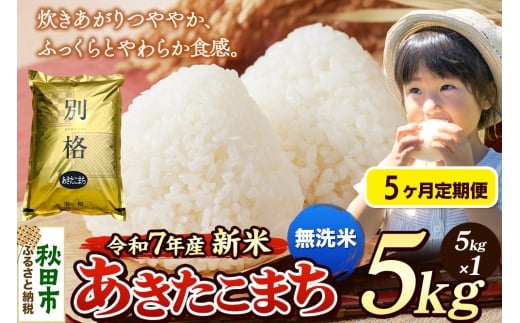 《令和7年産 新米》《定期便5ヶ月》 米 あきたこまち 5kg 【無洗米】 秋田県産