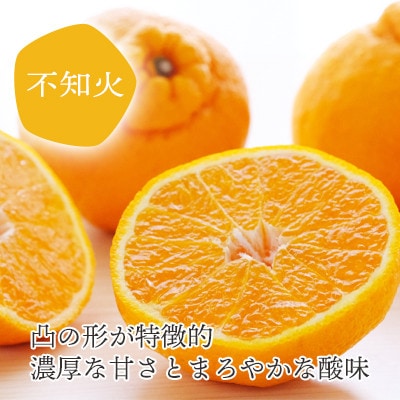 デコポンと同品種 愛媛のおいしい柑橘 不知火寒天ゼリーセット 8本【C25−28】【1502295】