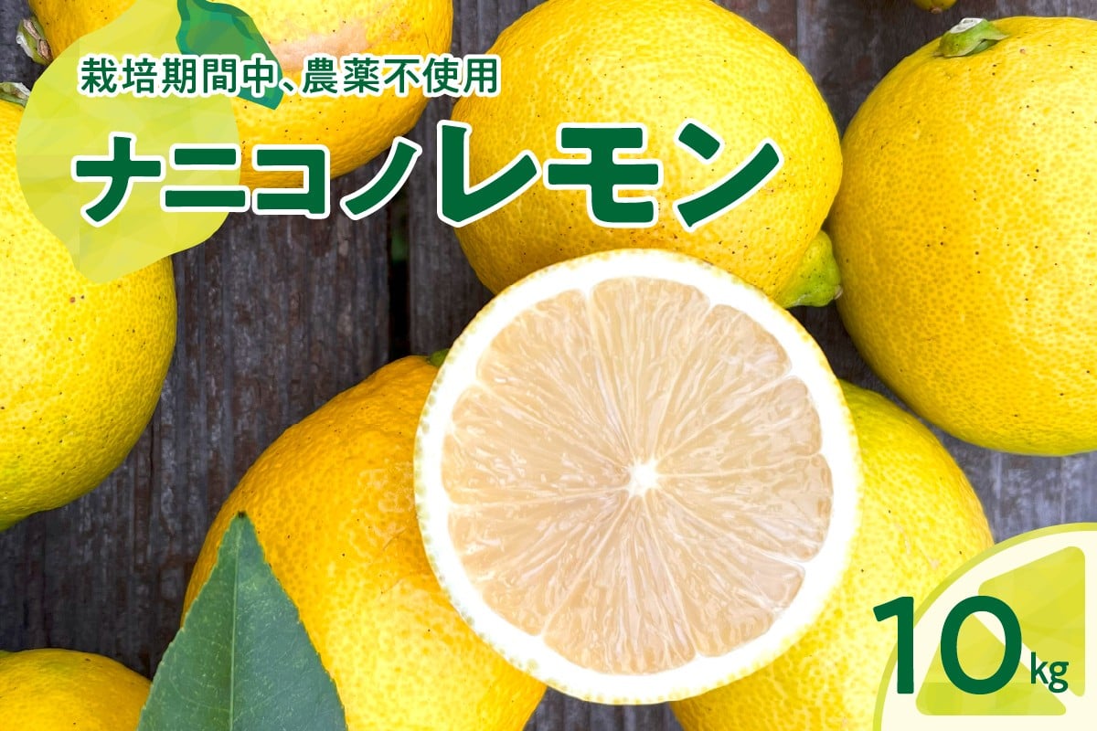 
            【2025年12月下旬～発送】ナニコノレモン 10kg ku149-003-25
          
