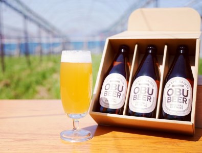 【８月発送】巨峰を使ったすっきりな味わいのクラフトビールOBUBEER 3本と大府産巨峰１キロのOBUセット // ビール ビールセット