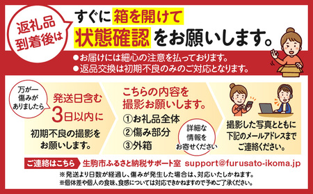 【1～3月発送】高級いちご「古都華」　2回定期便