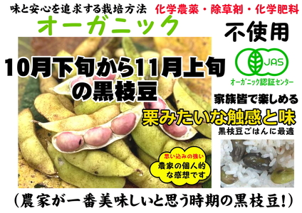 【令和7年10月中旬以降お届け】日本遺産　丹波篠山市　JAS有機栽培　オーガニック黒枝豆（200ｇ×5袋） プレミアム枝豆 日本三大枝豆　丹波篠山黒枝豆 大粒 丹波 黒豆 丹波黒 黒大豆 濃厚 美味し