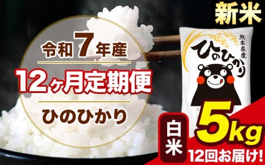 新米 令和7年産 【12ヶ月定期便】 ひのひかり 白米 5kg 5kg×1袋 計12回お届け 熊本県産 こめ コメ 白米 精米 荒尾市 ひの 米 定期 《11月から出荷開始》