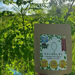 MO03【定期便】モリンガのしずく（240g約4カ月分）×3回