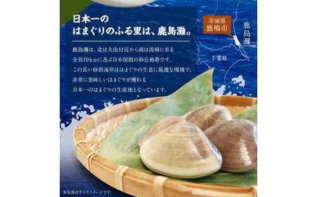 鹿島灘はまぐり 8~12粒 砂抜き はまぐり hamaguri