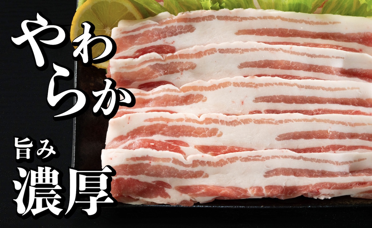 B578 《定期便》長崎県産豚 バラスライス 計1kg(500g×2) 【3回お届け】