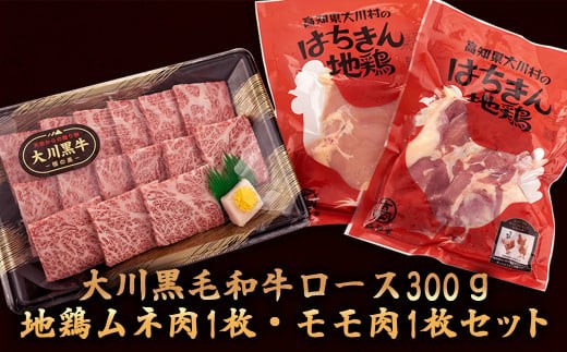 
                  【ふるさと納税】 国産 黒毛和牛 「 大川黒毛和牛 」ロース 地鶏 胸肉 もも肉 の セット 肉 牛肉 国産 黒毛 和牛ロース 300g 鶏肉 もも むね パック 詰め合わせ 土佐はちきん地鶏 ブランド鶏 土佐はちきん地鶏 高知県 須崎市 ふるさと納税牛肉 me060
                
