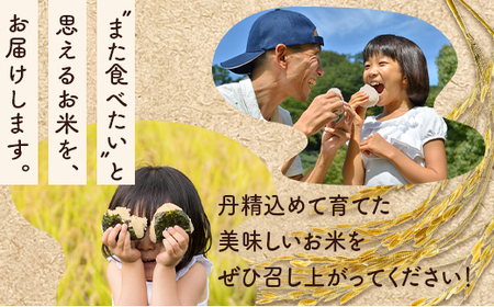 【発送時期が選べる】令和7年産 石川県能登産 こしひかり玄米10kg（5kg×2個） | 米 ※2026年6月～発送