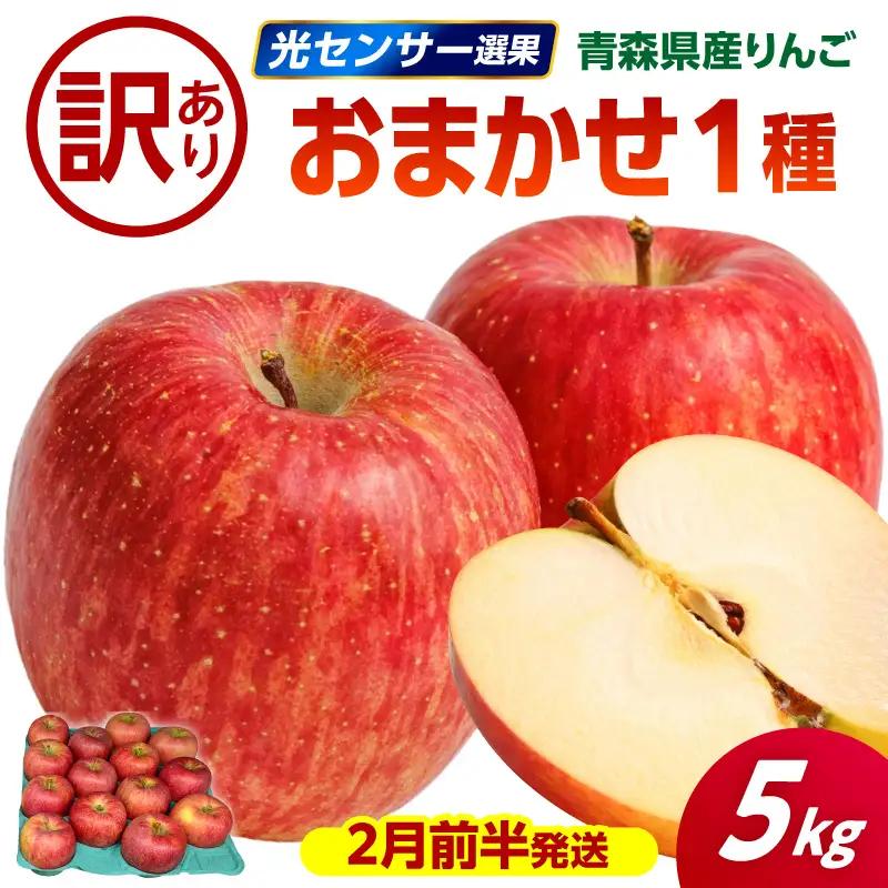 【2027年2月前半発送】りんご【訳あり】約5kg 品種おまかせ1種 りんご