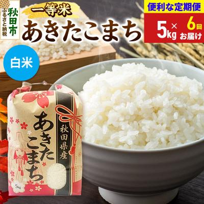 ふるさと納税 秋田市 《定期便6ヶ月》あきたこまち 一等米5kg 白米|15_kml-010506hs