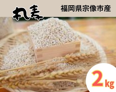 ミネラル豊富な丸麦 2kg【アグリCATS】_HA1443