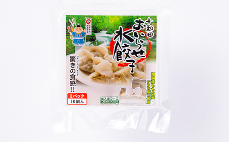驚きの食感!十和田おいらせ水餃子【配送不可地域：離島】【1027373】