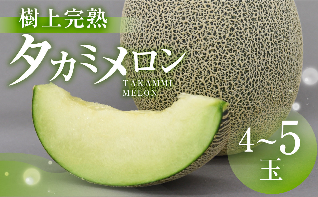 
            【先行予約】渥美半島産　青木さんちのタカミメロン 樹上完熟 4玉～5玉 約5kg メロン タカミメロン 青肉メロン 完熟 フルーツ 果物 デザート 農家直送 送料無料 熟成
          