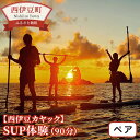 【ふるさと納税】 SUP サップ 海 西伊豆 体験【西伊豆カヤック】SUP体験（1時間半）ペアチケット