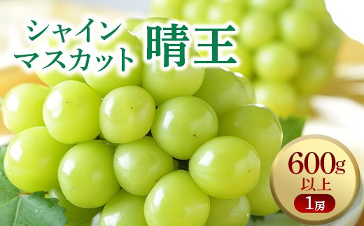 
                  シャインマスカット晴王2房 1.2kg以上（1房600g以上）
                