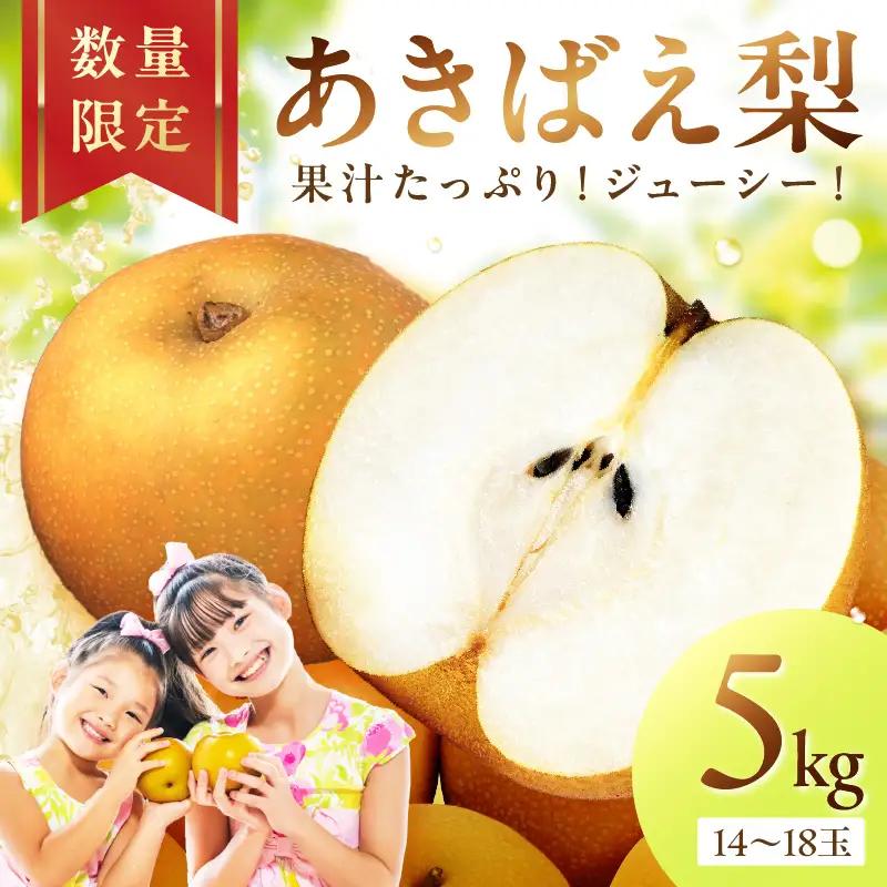 梨／あきばえ	あきばえ梨 5kg（2026年8月中旬～発送）