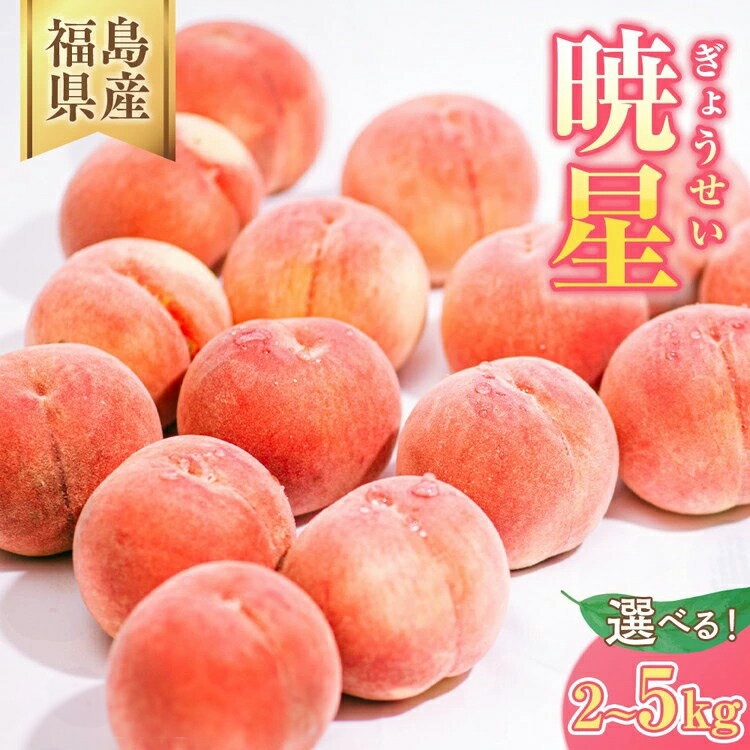 【ふるさと納税】＼レビュー投稿でお米プレゼント／【選べる容量】◆2026年夏発送◆暁星〜産直・桃・約2kg 約5kg ※離島への配送不可 ※2026年7月上旬〜7月下旬頃に順次発送予定｜先行予約 予約 数量限定 桃 もも モモ 果物 くだもの フルーツ 詰め合わせ 福島 ふくしま