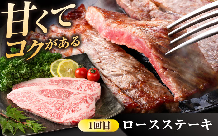 【肉のプロが厳選！】【全3回】佐賀県産和牛 贅沢定期便【株式会社いろは精肉店】 [IAG068]