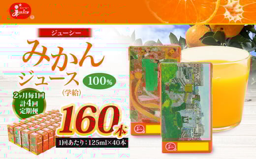 【2ヶ月毎4回定期便】 ジューシー みかんジュース 100％ （学給） 125ml×40本 みかん ミカン 蜜柑 ジュース オレンジジュース 飲料 紙パック 国産 熊本県