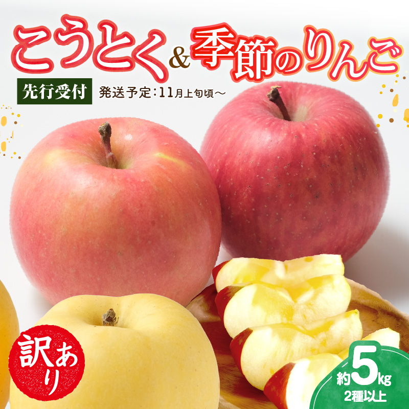 《先行受付》訳ありこうとく＆季節のりんご詰合せ約5kg 2種以上【2026年11月上旬～発送予定】【大江町産・山形りんご・りんご専科 清野】