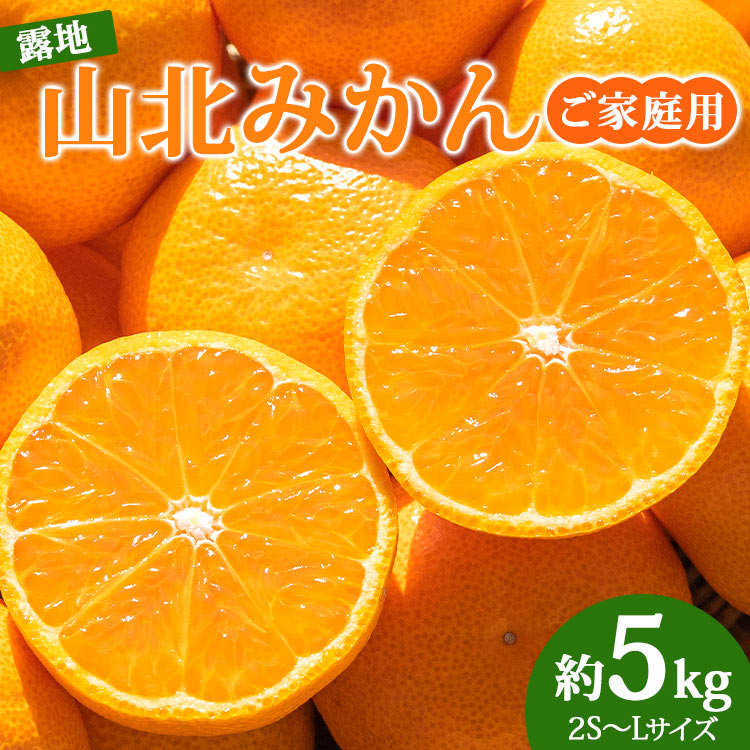 【ふるさと納税】訳あり 数量限定 山北みかん 約5kg（家庭用・露地栽培）- 果物 フルーツ 温州みかん 柑橘類 ミカン 蜜柑 おすそ分け おいしい 甘い 特産品 送料無料 高知県 香南市【常温】ku-0022