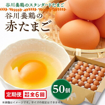 【ふるさと納税】【毎月定期便】計300個【生みたて濃厚】谷川養鶏の赤たまご50ヶ入り(※サイズ指定できません)全6回【配送不可地域：離島】【4092229】