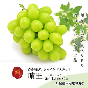ぶどう 先行予約 シャインマスカット 晴王 2房 化粧箱 果物 フルーツ 葡萄 ブドウ ぶどう