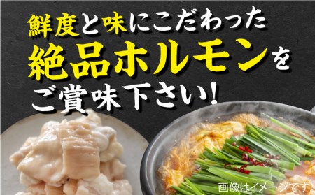 九州産もつ鍋セット(２人分）【三田川ホルモン専門店】[FAC002]