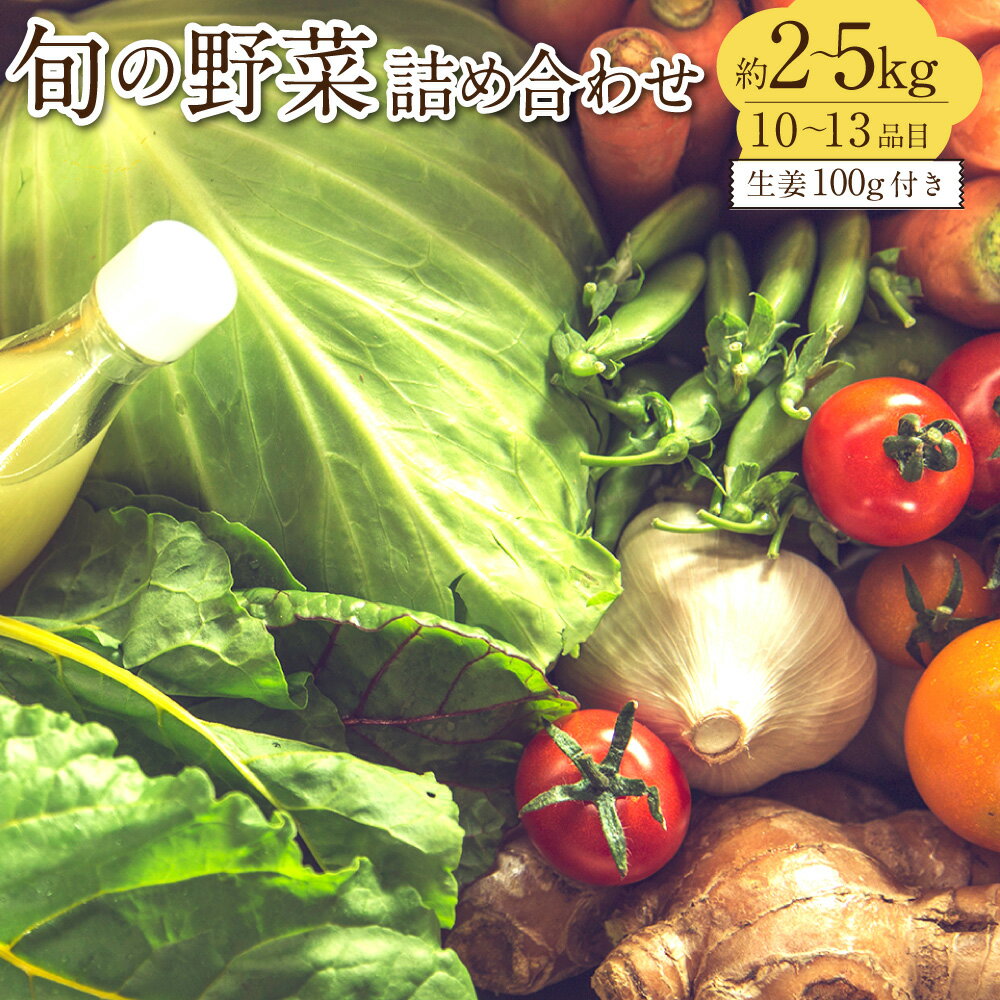 【ふるさと納税】旬の野菜の詰め合わせと栽培期間中 農薬不使用の生姜100g付き 野菜 お野菜 旬 季節の野菜セット 新鮮 安心安全 産地直送 詰め合わせ やさい 自然 自然派 お取り寄せ 高知県 香美市 送料無料