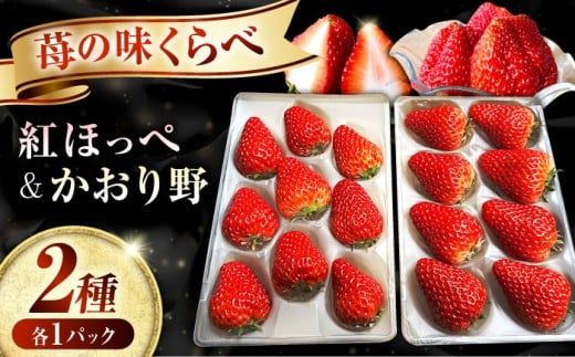 いちご【2026年1月以降順次発送】先行予約 産地直送 【紅ほっぺ・かおり野】2パックセット 計270g以上<びんごファーム>紅ほっぺ かおり野 いちご 苺 イチゴ 紅ほっぺ かおり野 フルーツ 果物 産地直送 先行予約 2パックセット 計270g以上 おすすめ 人気 旬 季節限定 デザート スイーツ 贈り物 ギフト 贈答 新鮮 甘い 大粒 お取り寄せ 完熟 ジューシー 福山市 [BAFY001]