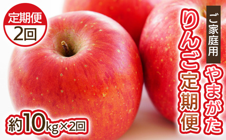 【定期便2回】ご家庭用 やまがたりんご定期便【令和8年産先行予約】FS25-793