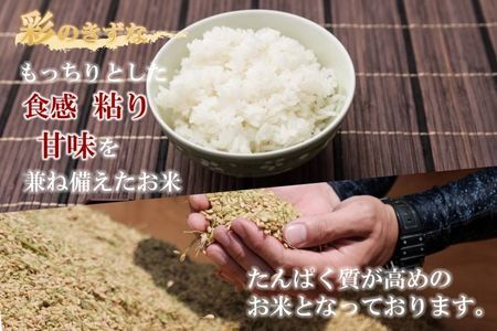 【令和６年産　新米】埼玉ブランド米食べ比べセット 5㎏×2