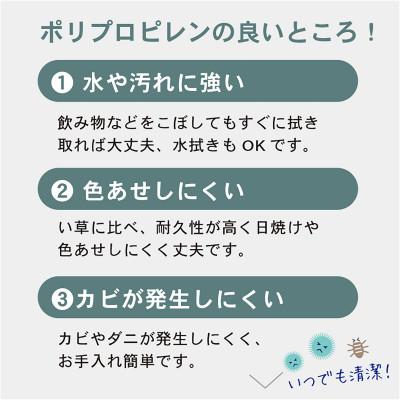 ふるさと納税 岡山市 岡山県岡山市産　樹脂製 畳マット 悠久 サイズ:シングル　カラー:ナチュラル(い草色) |  | 02