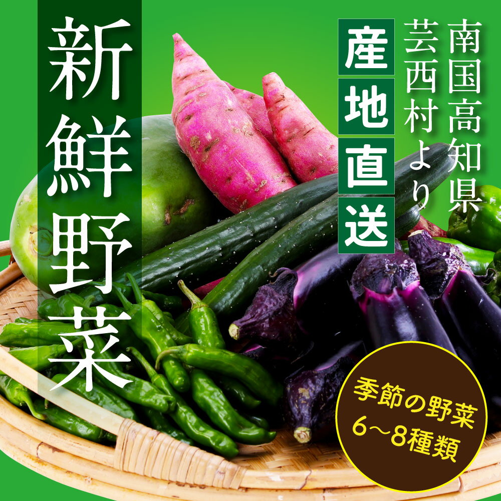 【ふるさと納税】【3月～6月発送分受付中】朝どれ！ 野菜詰合せ／芸西村で採れた新鮮な野菜6〜8種類をお届けします。ふるさと納税 野菜 詰め合わせ 特産品 ピーマン ナス こだわりの栽培方法 環境に優しい 安全で安心な野菜づくり 旬 支援品 故郷納税 4900円 セット