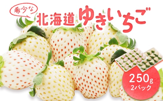 
										
										【受注後、随時発送！】【北海道産】ゆきいちご（白いちご）ゆきぼたん 2Pセット 250g×2 計500g 苺 イチゴ 白いちご 一季成りイチゴ 希少 高級 ギフト お取り寄せ ふるさと納税 北海道 中標津 【59001】
									