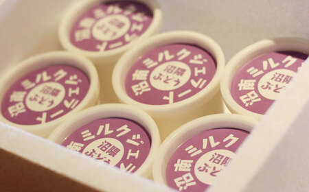 【全6回定期便】沼南ミルクジェラート 沼隈ぶどう ６個　アイス  ぶどう  アイス アイスクリーム デザート スイーツ ご当地 広島県福山市/甚ごろう[BAEC043]