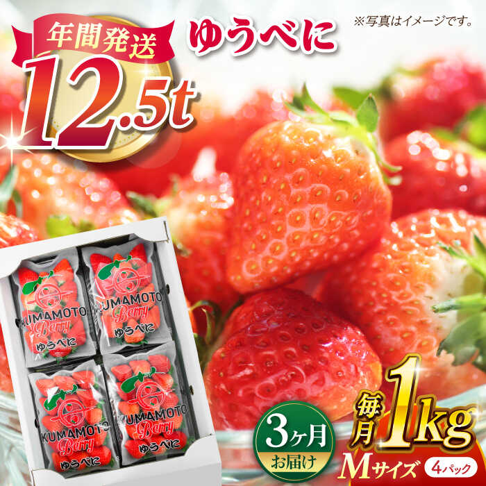 【ふるさと納税】【先行予約】【3回定期便】いちご Mサイズ ゆうべに 1kg（4pc）【熊本ベリー】[ZER010] イチゴ 苺 ストロベリー ギフト 産地 新鮮 評判 完熟フレッシュ 国産 熊本県産 果物 くだもの フルーツ 人気 セット 季節 産地直送 特産 おすすめ 期間限定 送料無料