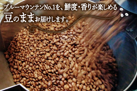 【3回定期便】 コーヒー豆 ブルーマウンテン 100g 3パック
