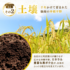 ひとめぼれ 定期便3回/5kg×1袋 令和8年産 新米 先行予約 宮城県産 米 精米 白米